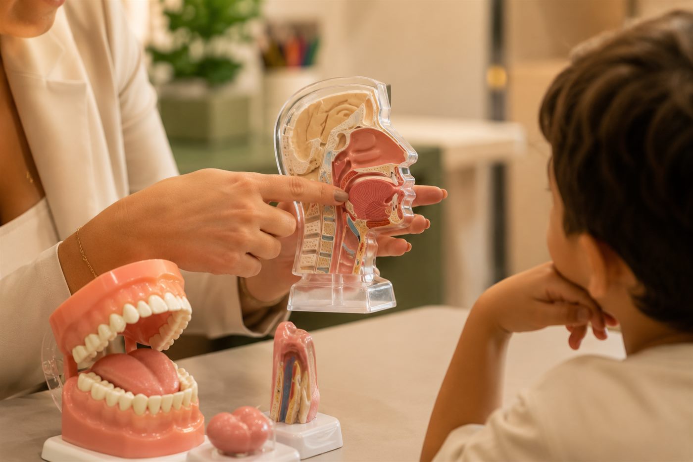 Tatiana Murari mostra um modelo anatômico da cabeça e da boca para explicar a uma criança como funcionam a fala e a motricidade orofacial